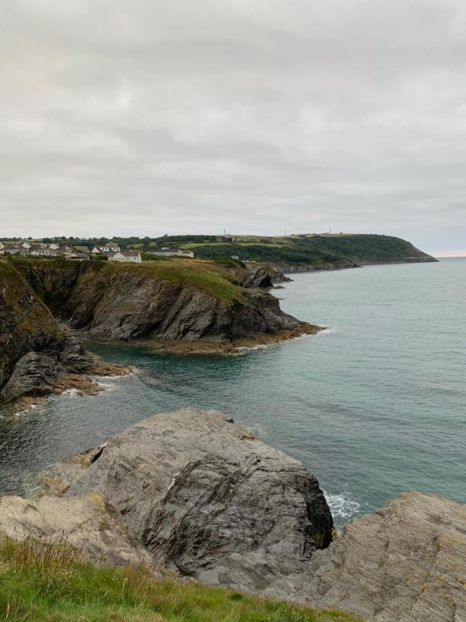 Wild Coastal Retreat At Troed Y Rhiw Aberporth, West Walesヴィラ エクステリア 写真