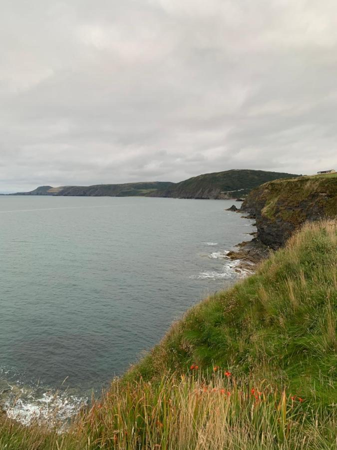 Wild Coastal Retreat At Troed Y Rhiw Aberporth, West Walesヴィラ エクステリア 写真