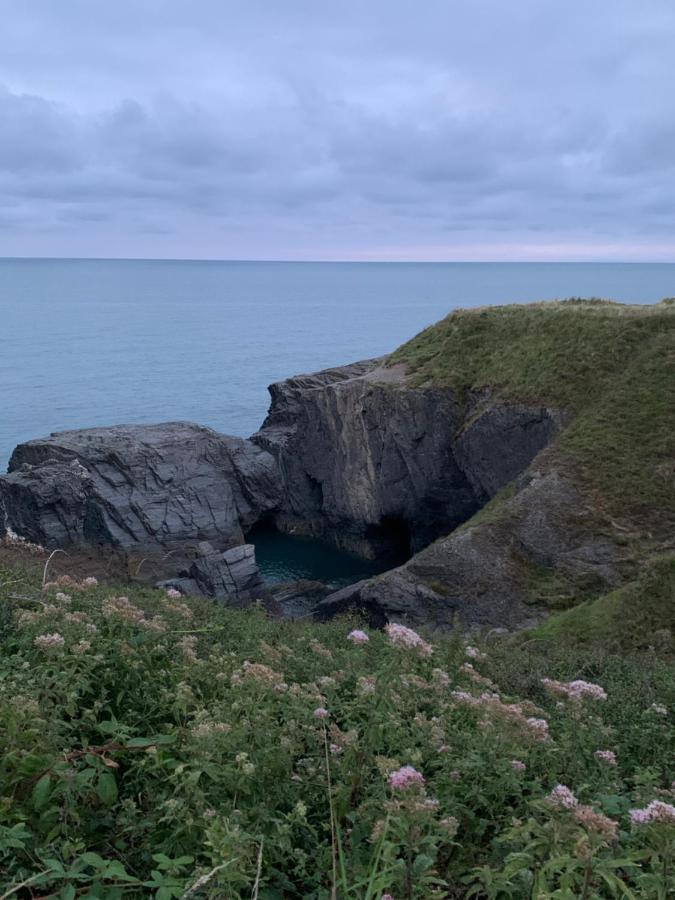 Wild Coastal Retreat At Troed Y Rhiw Aberporth, West Walesヴィラ エクステリア 写真