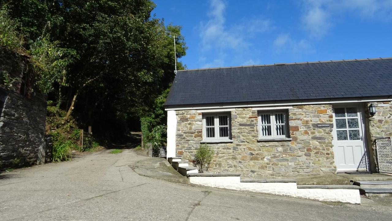 Wild Coastal Retreat At Troed Y Rhiw Aberporth, West Walesヴィラ エクステリア 写真