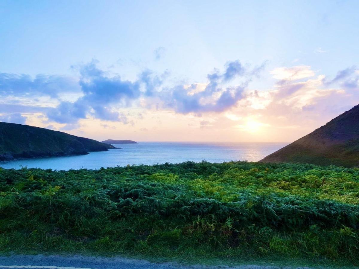 Wild Coastal Retreat At Troed Y Rhiw Aberporth, West Walesヴィラ エクステリア 写真